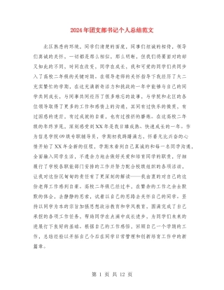 2024年团支部书记个人总结范文