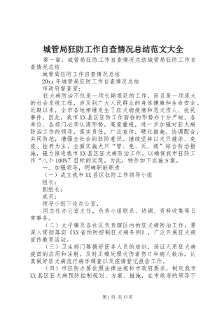城管局狂防工作自查情况总结范文大全