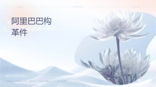 阿里巴巴组织结构变革课件