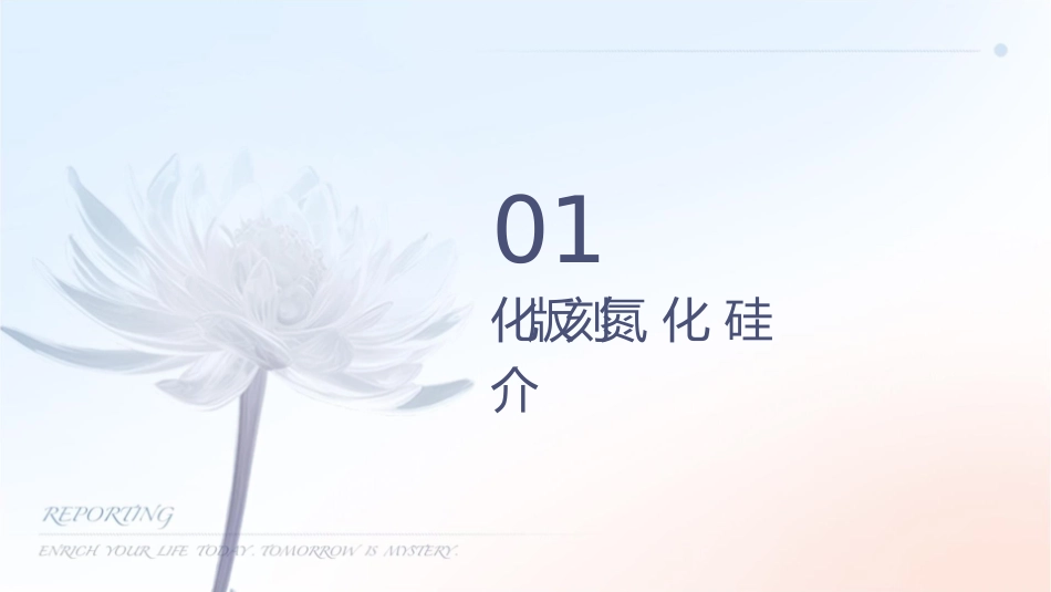 钝化版刻蚀氮化硅课件_第3页