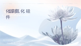 钝化版刻蚀氮化硅课件