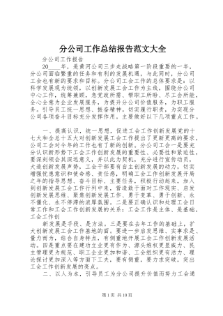 分公司工作总结报告范文大全