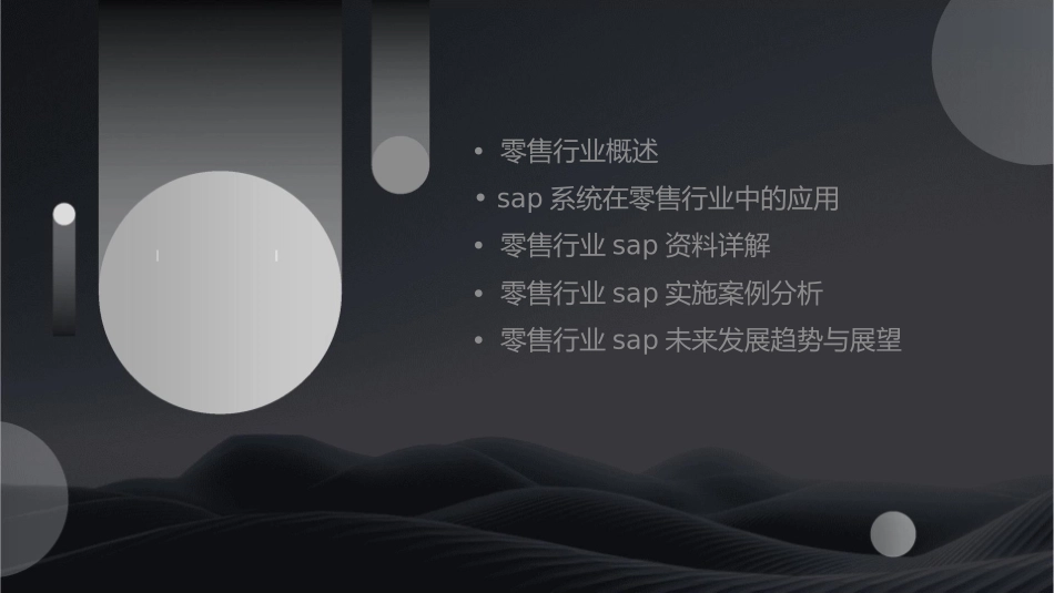零售行业SAP资料课件_第2页