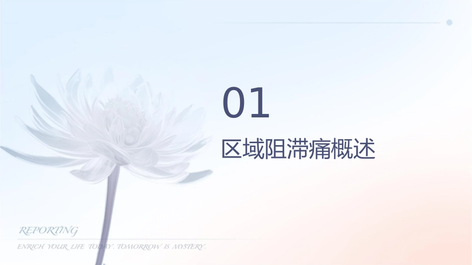 超声引导区域阻滞镇痛专家共识护理课件_第3页