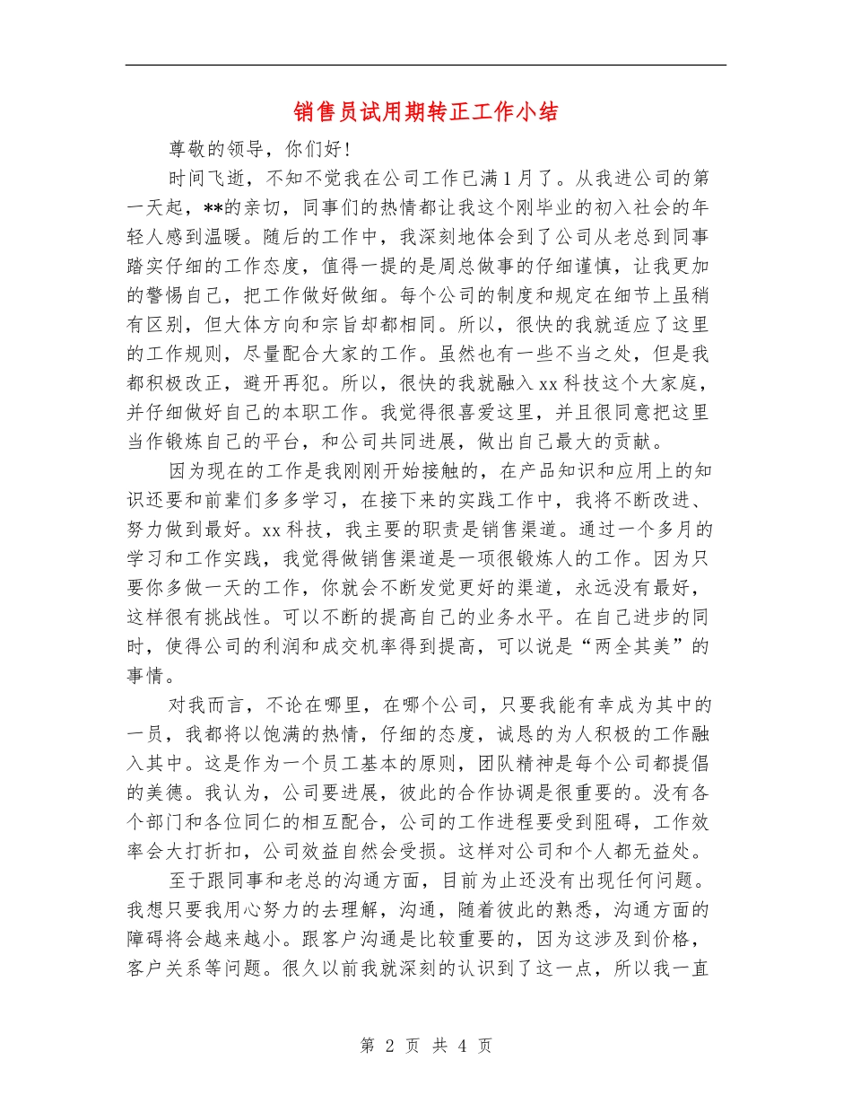 销售员试用期转正工作小结_第2页