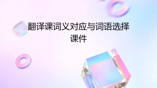 翻译课词义对应与词语选择课件