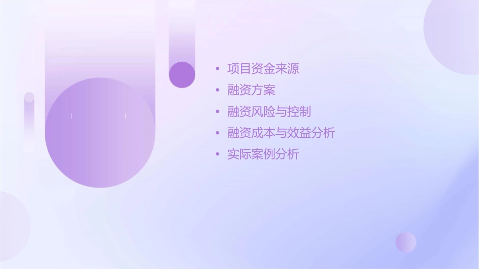 项目资金来源与融资方案课件_第2页