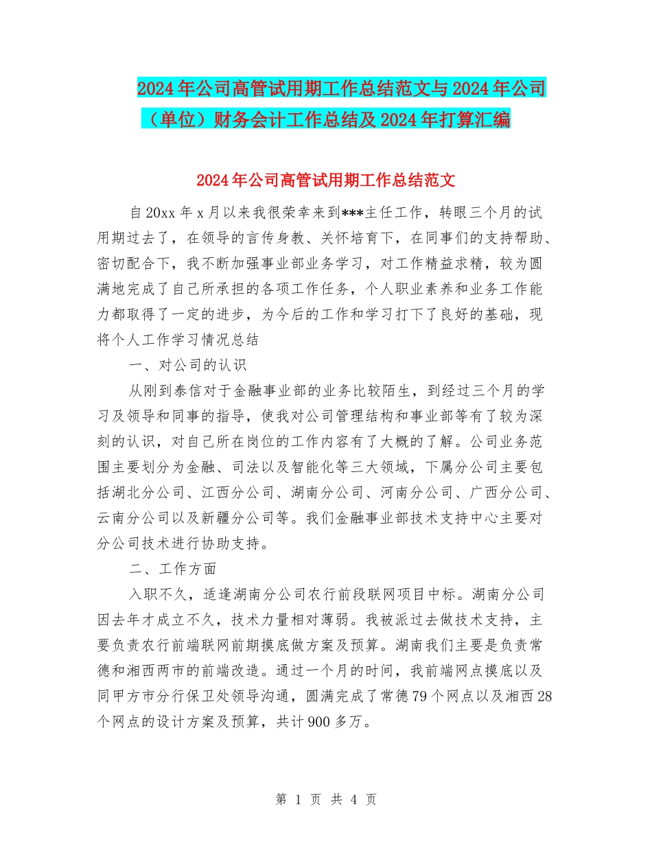 2024年公司高管试用期工作总结范文与2024年公司财务会计工作总结及2024年打算汇编_第1页
