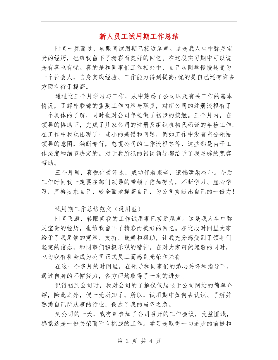 新人员工试用期工作总结_第2页