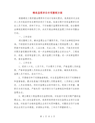 监理单位专项整顿方案