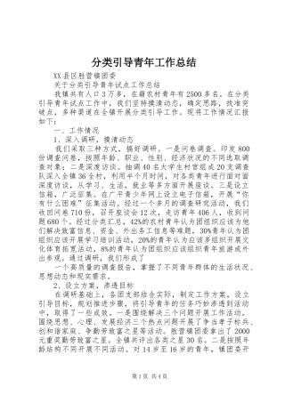 分类引导青年工作总结