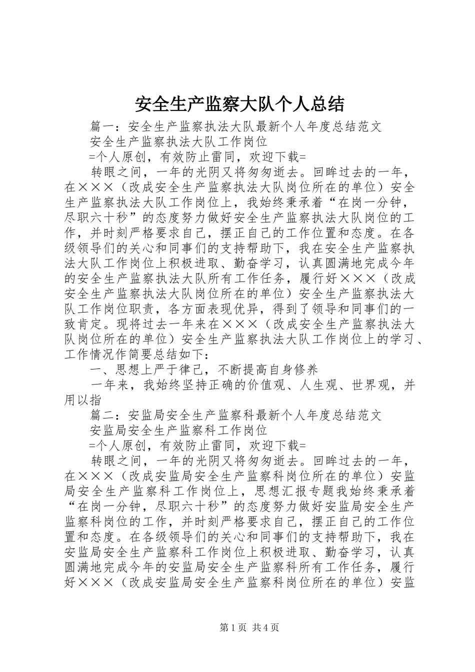 安全生产监察大队个人总结_第1页