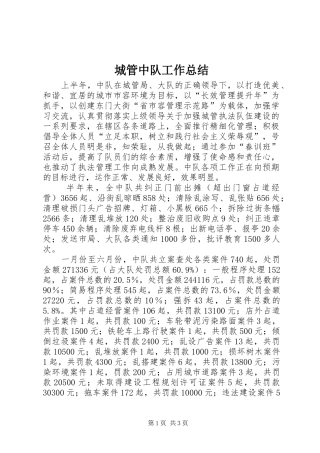 城管中队工作总结