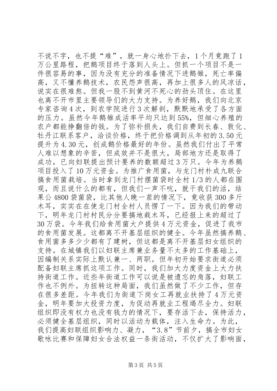 关于妇联年终总结范文_第3页