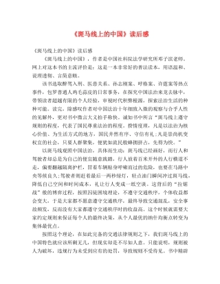 《斑马线上的中国》读后感 