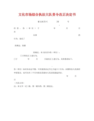 《安全管理资料》之文化市场综合执法大队责令改正决定书 