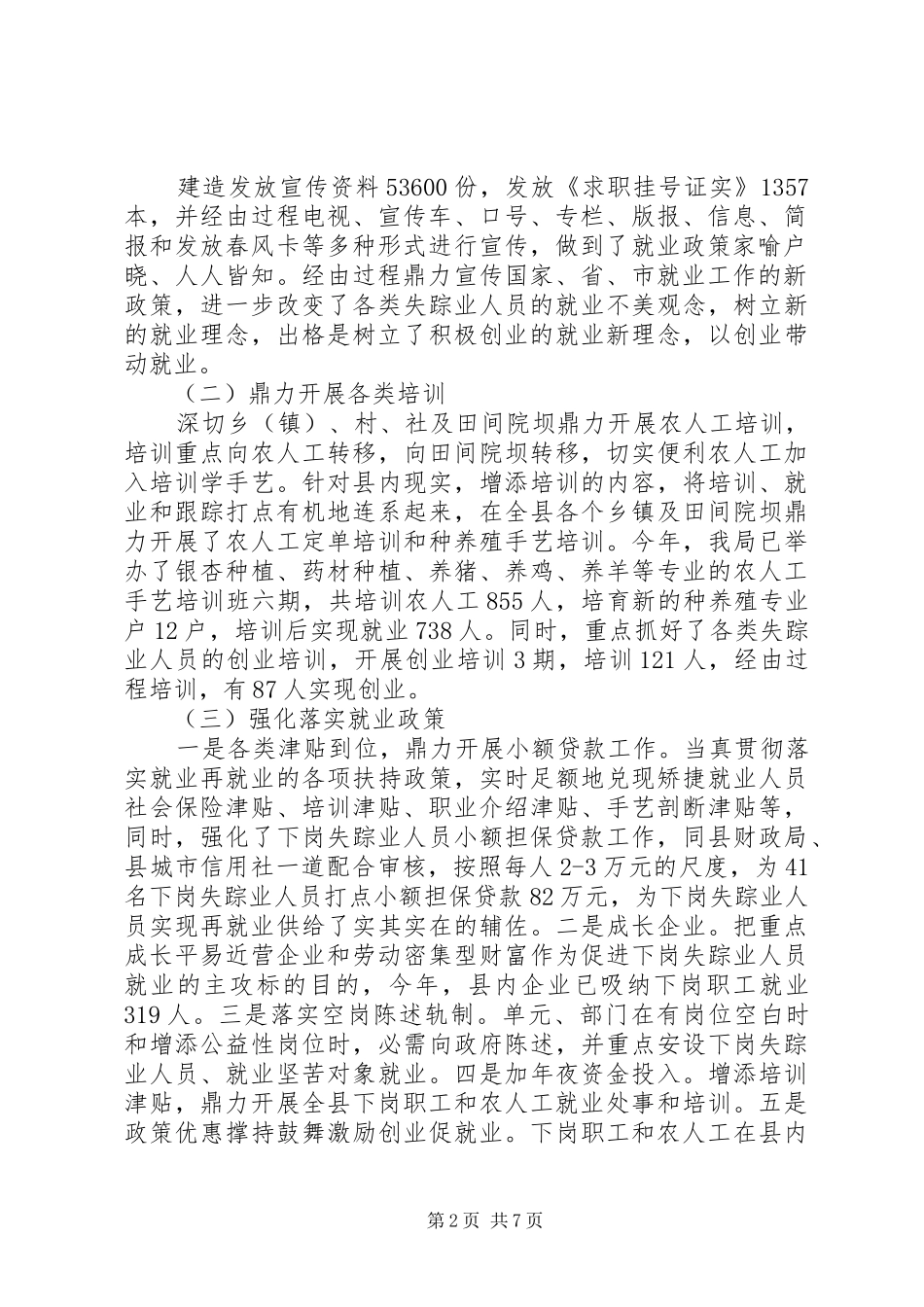 就业局个人年终总结两篇_第2页