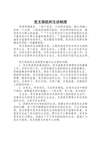 党支部组织生活规章制度 (3)
