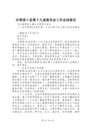 共青团×县第十九届委员会工作总结报告