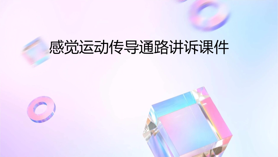 感觉运动传导通路讲诉课件_第1页