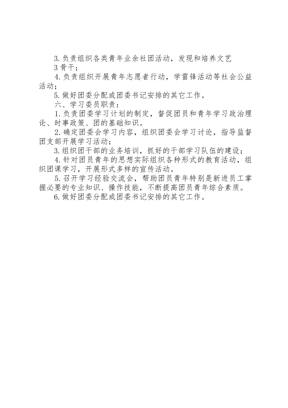 局团委职责要求分工 _第3页