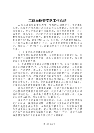 工商局检查支队工作总结