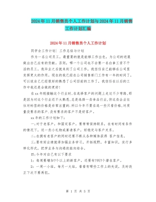 2024年11月销售员个人工作计划与2024年11月销售工作计划汇编