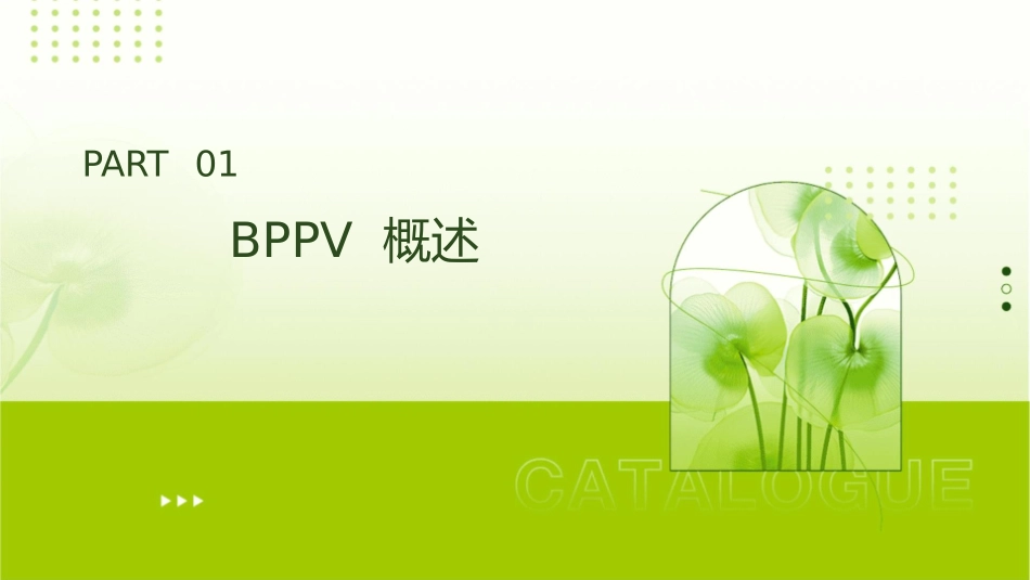 良性阵发性位置性眩晕(BPPV)诊断和治疗课件_第3页