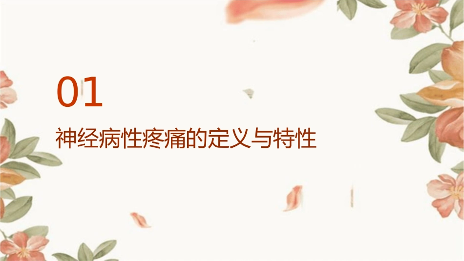 神经病性疼痛和辅助镇痛剂的意义课件_第3页