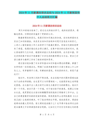 2024年11月新课改培训总结与2024年11月新闻宣传个人总结范文汇编