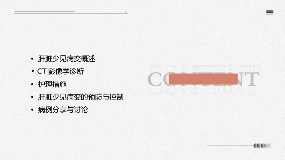 肝脏少见病变征象CT影像诊断护理课件_第2页