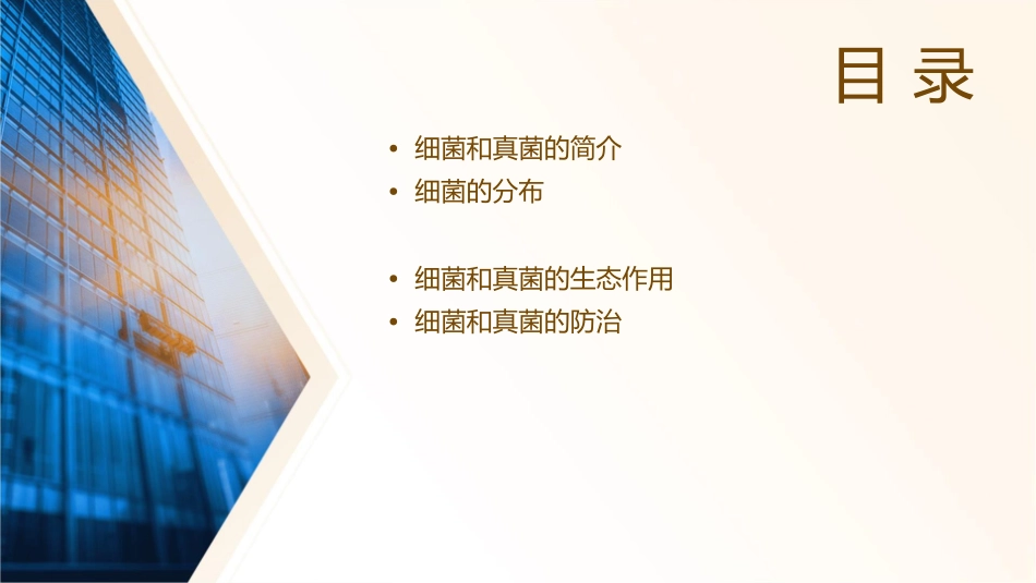 细菌和真菌的分布ok课件_第2页