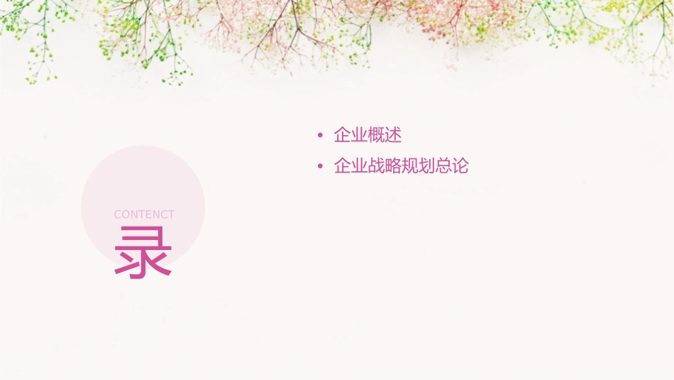 某投资公司企业发展战略规划课件_第2页