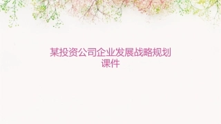 某投资公司企业发展战略规划课件