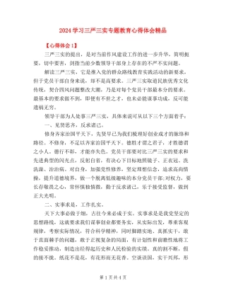 2024学习三严三实专题教育心得体会精品