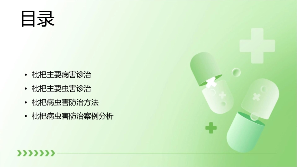 枇杷主要病虫害诊治概论护理课件_第2页