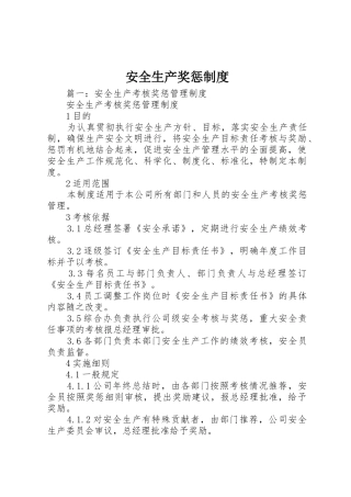 安全生产奖惩规章制度 (24)