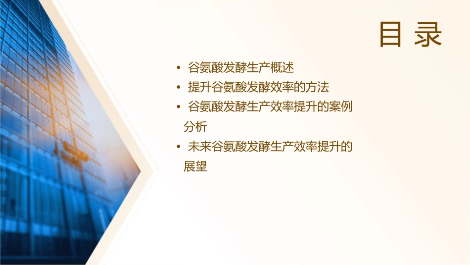 谷氨酸发酵生产效率提升策略课件_第2页