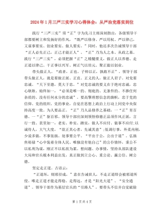 2024年1月三严三实学习心得体会：从严治党落实到位