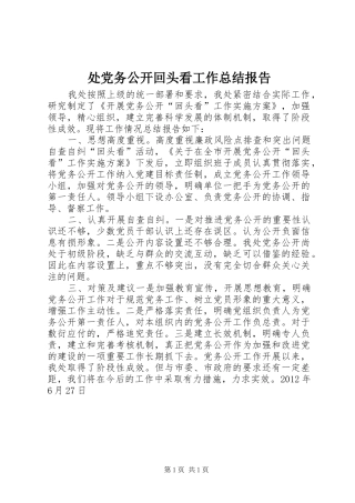 处党务公开回头看工作总结报告