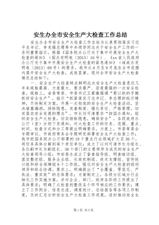 安生办全市安全生产大检查工作总结