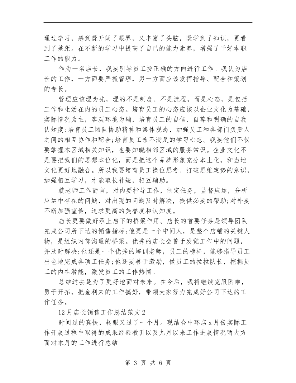 2024年店长销售工作总结_第3页