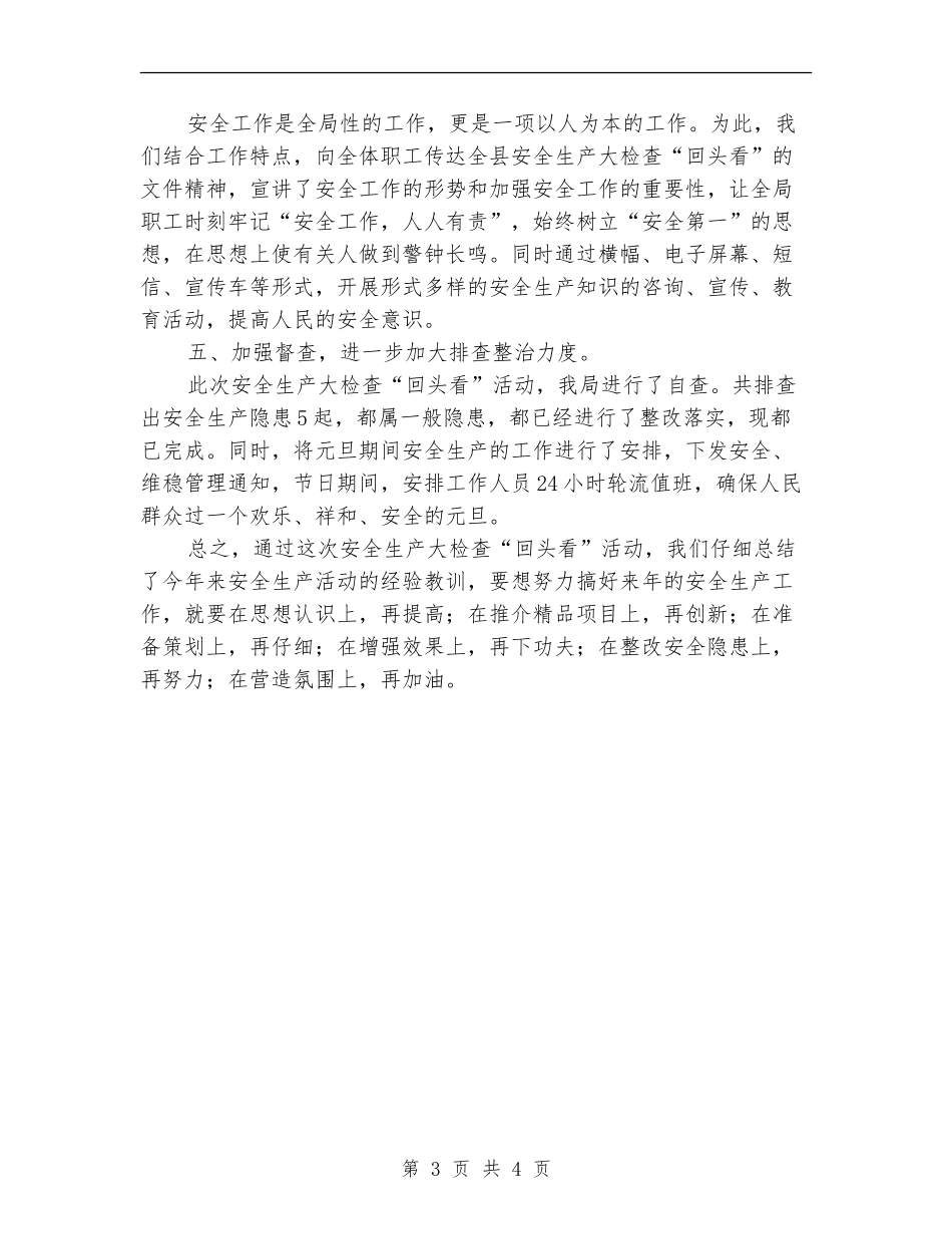 科技局安全生产大检查“回头看”工作总结_第3页