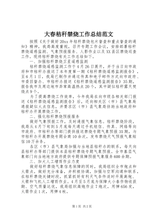 大春秸秆禁烧工作总结范文