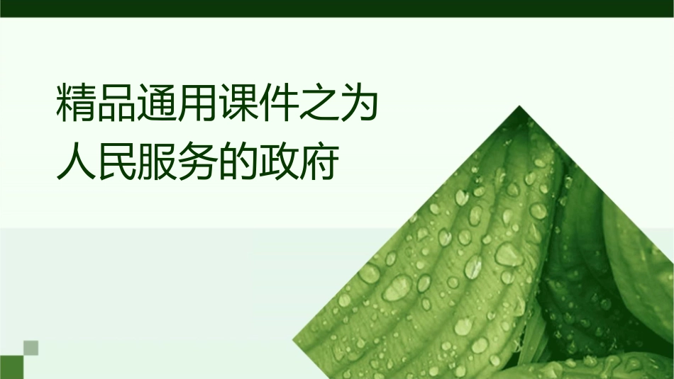 精品通用课件之为人民服务的政府_第1页