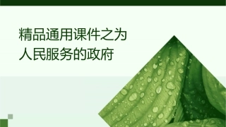 精品通用课件之为人民服务的政府