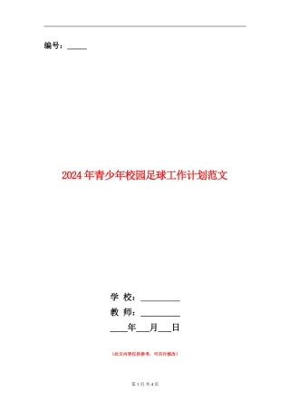 2024年青少年校园足球工作计划范文