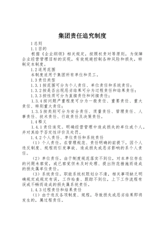 集团责任追究规章制度细则