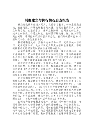 规章制度建立与执行情况自查报告 