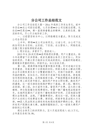 分公司工作总结范文